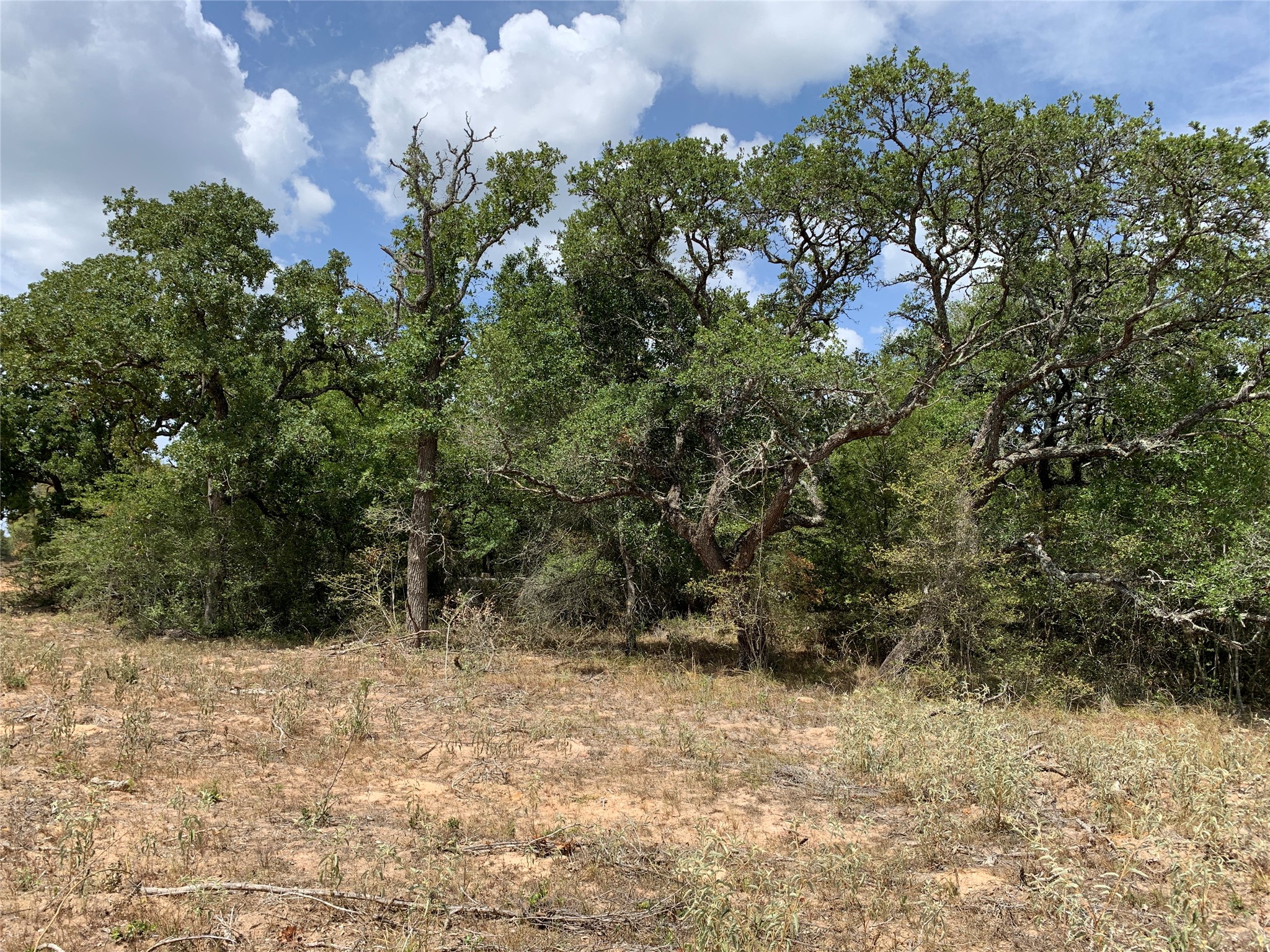 Tbd Private Road 1581 Property Photo 2