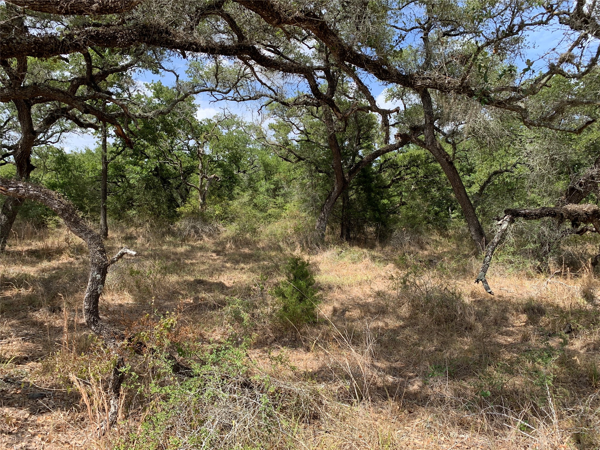 Tbd Private Road 1581 Property Photo 5
