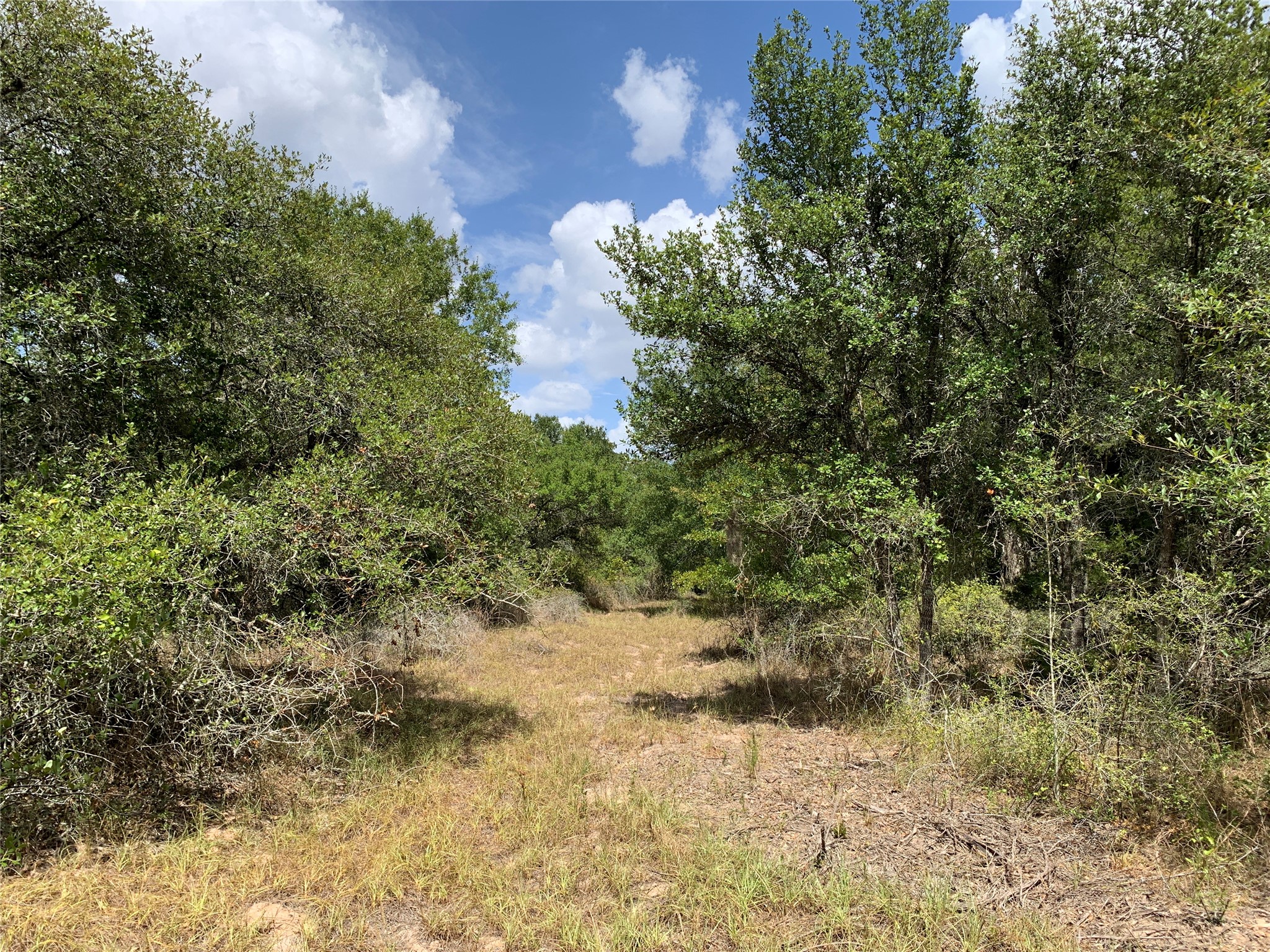 Tbd Private Road 1581 Property Photo 6