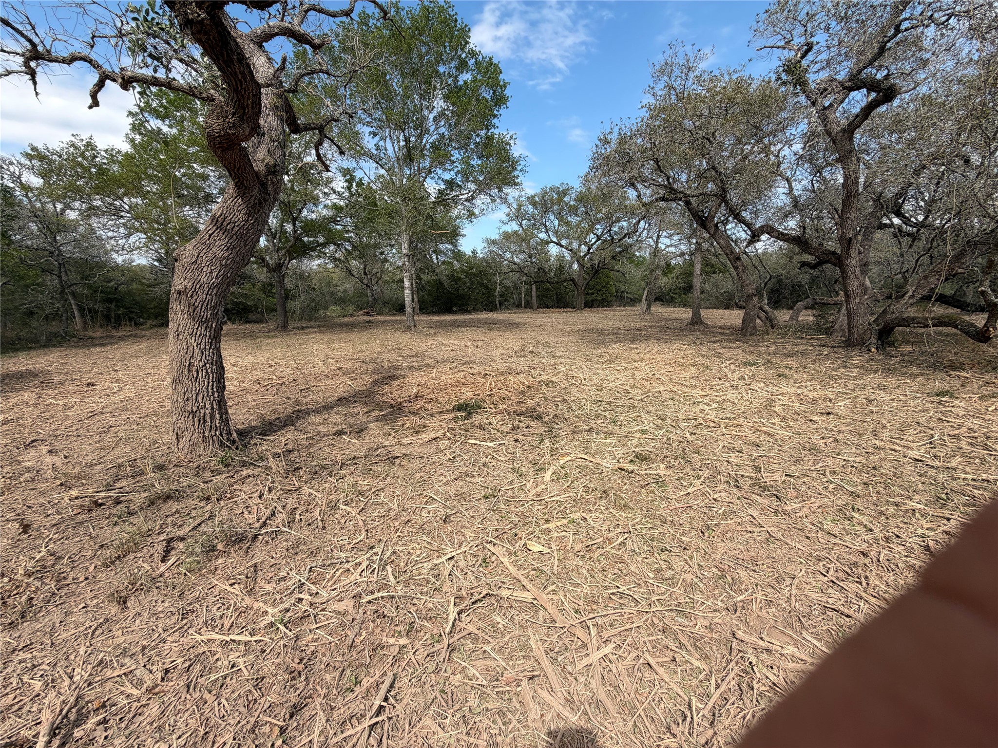 Tbd Private Road 1581 Property Photo 8