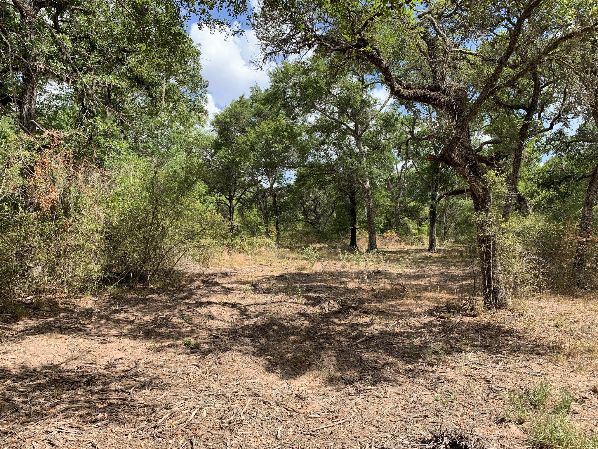 Tbd Private Road 1581 Property Photo 11
