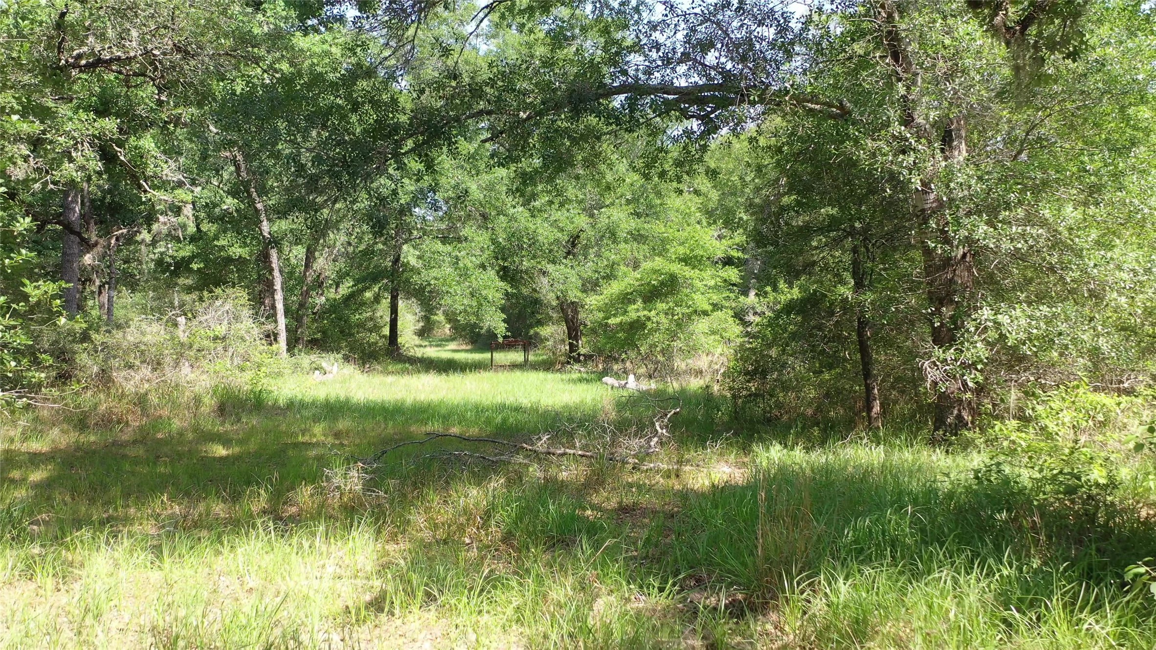 Tbd Private Road 1581 Property Photo 12