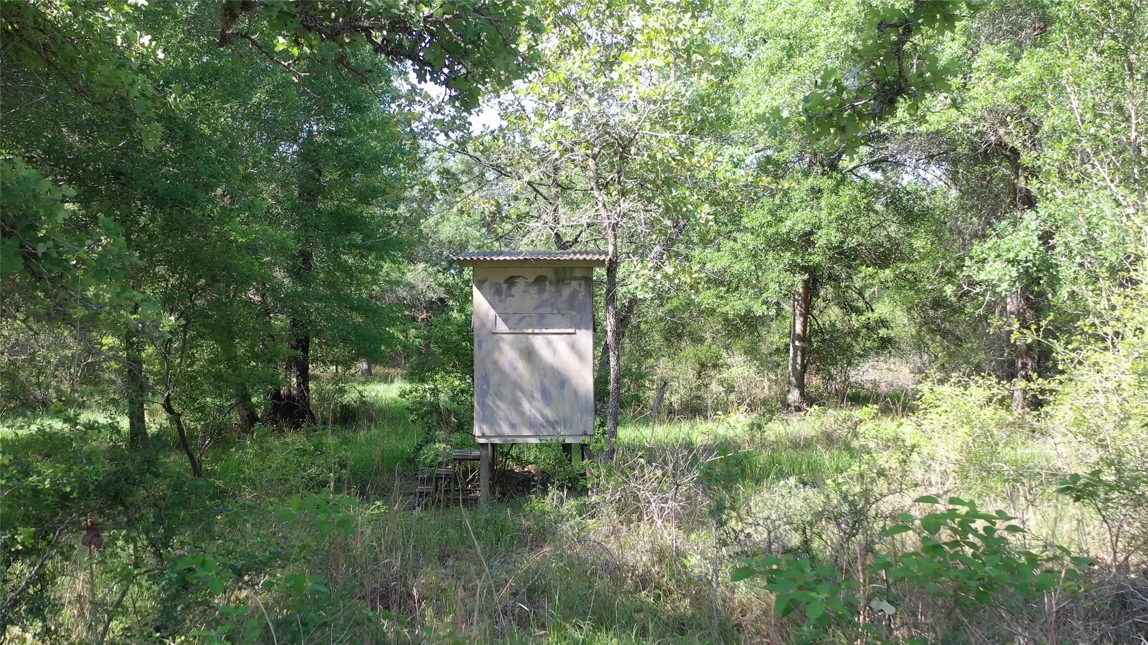 Tbd Private Road 1581 Property Photo 14