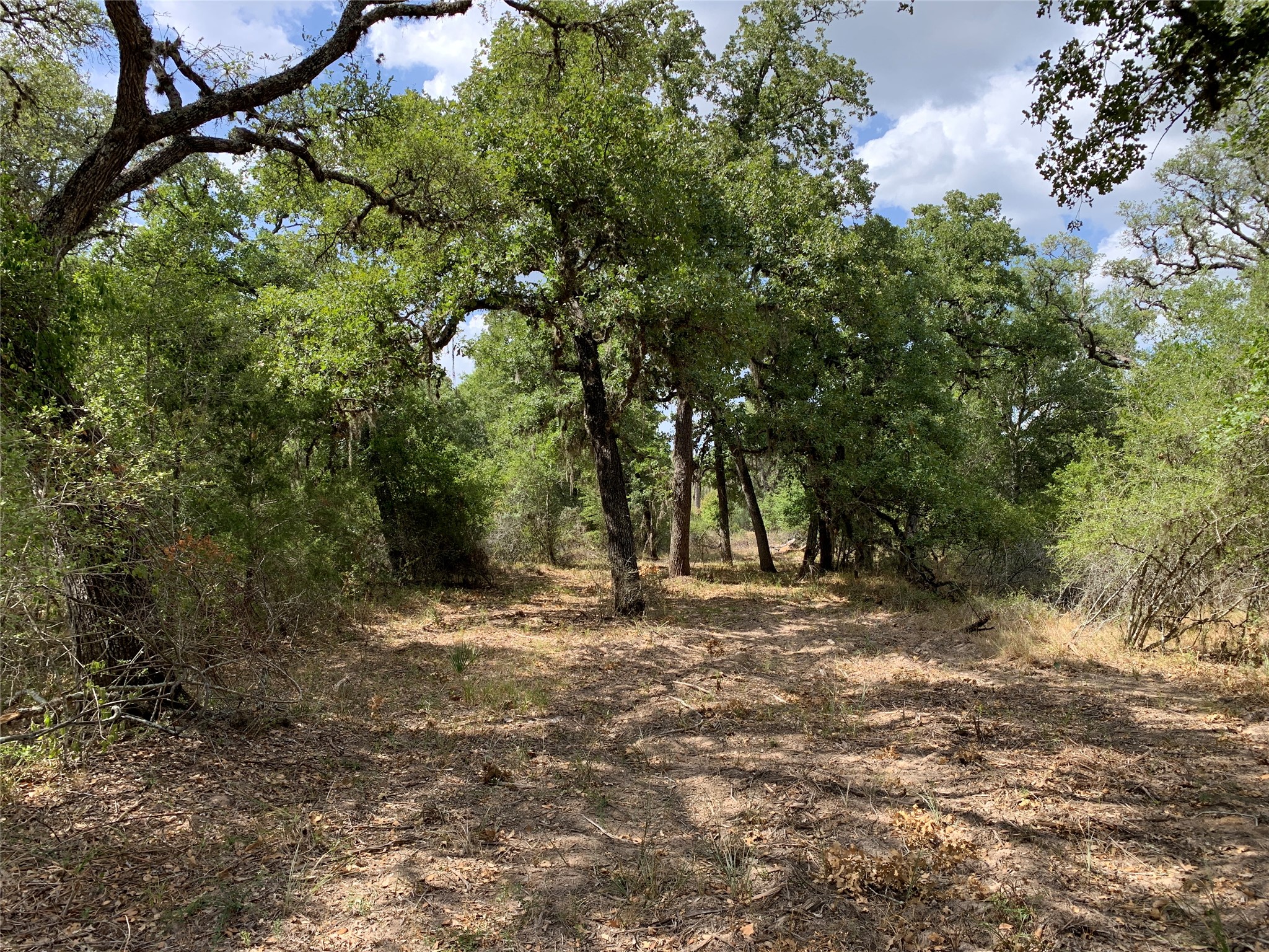 Tbd Private Road 1581 Property Photo 15