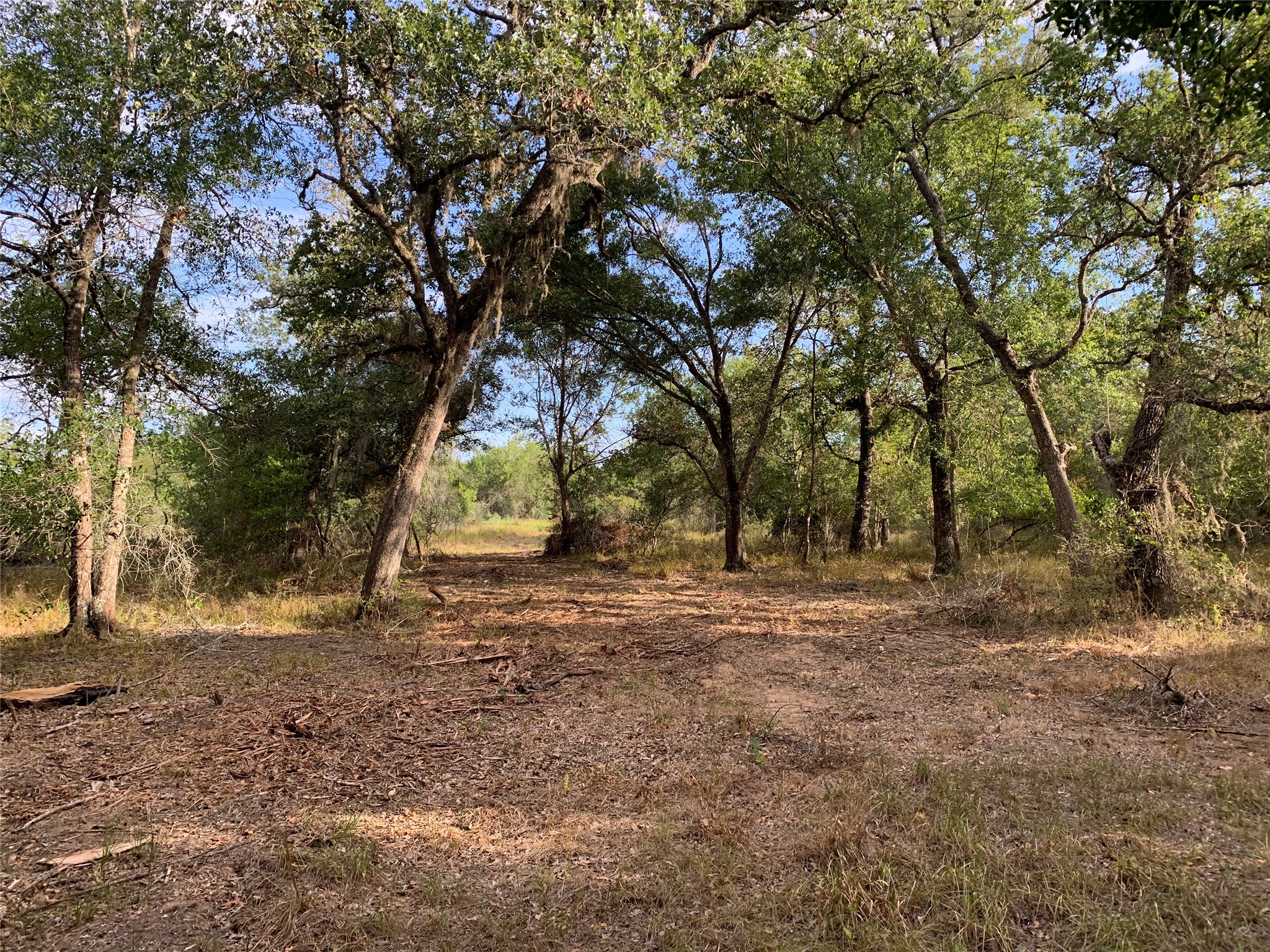 Tbd Private Road 1581 Property Photo 16