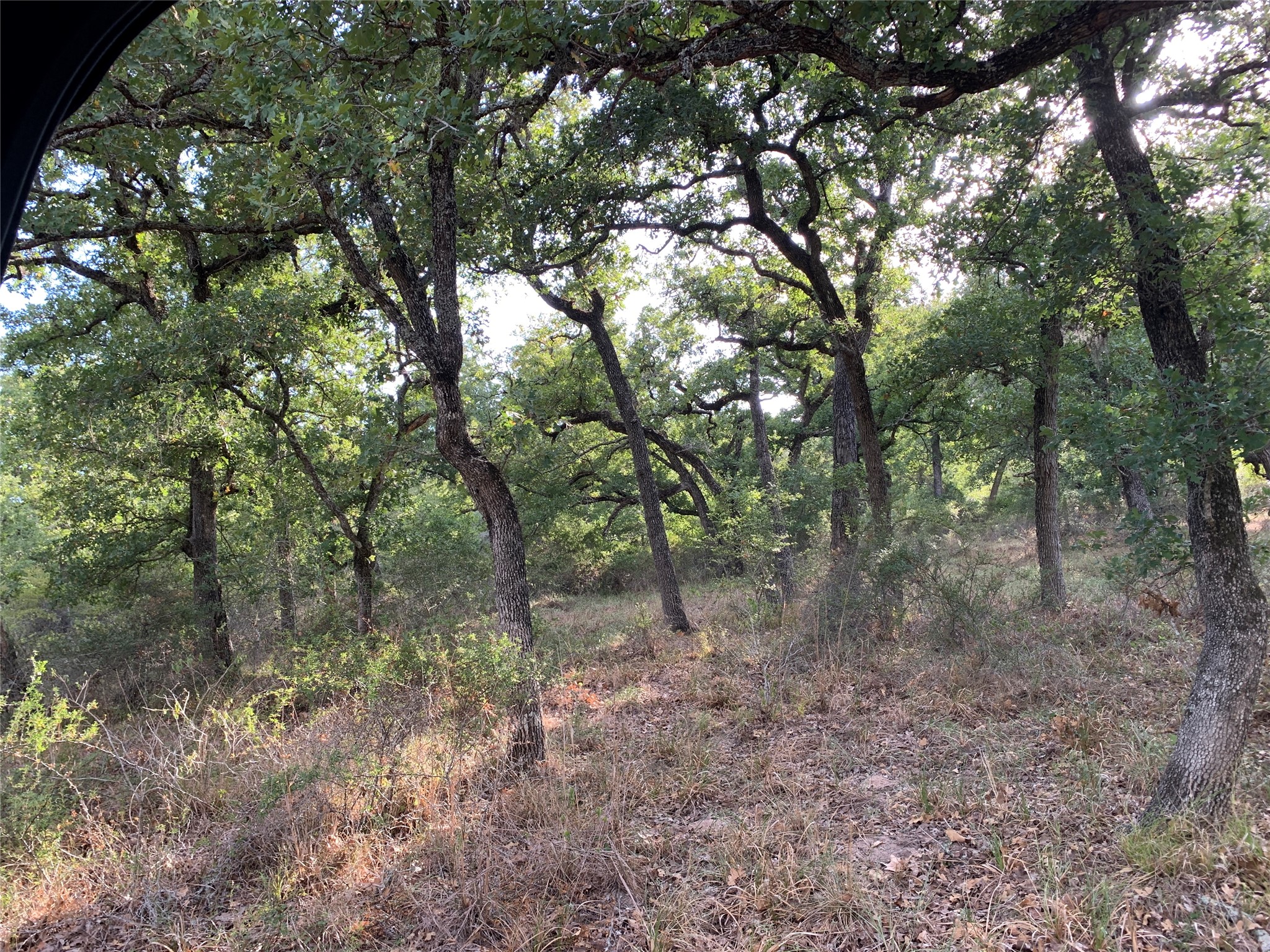 Tbd Private Road 1581 Property Photo 17