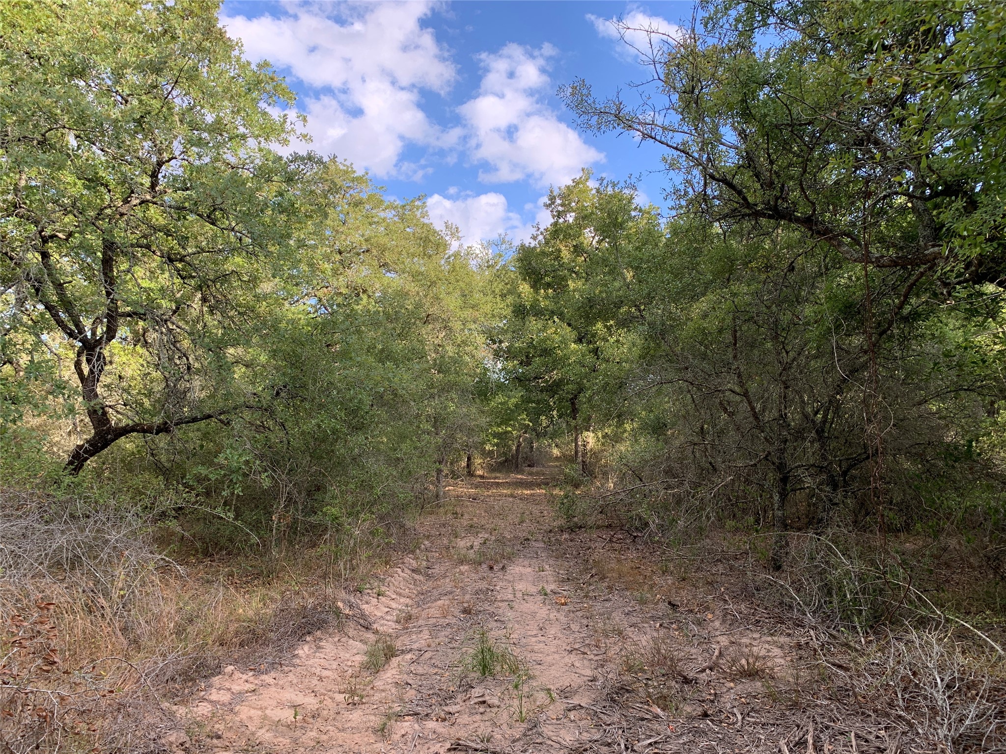 Tbd Private Road 1581 Property Photo 18