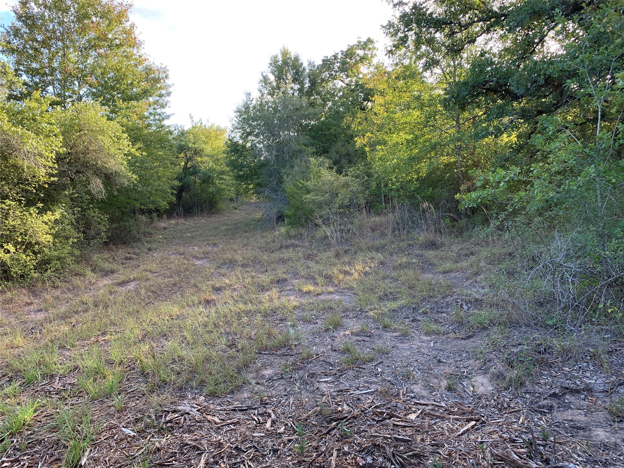 Tbd Private Road 1581 Property Photo 19