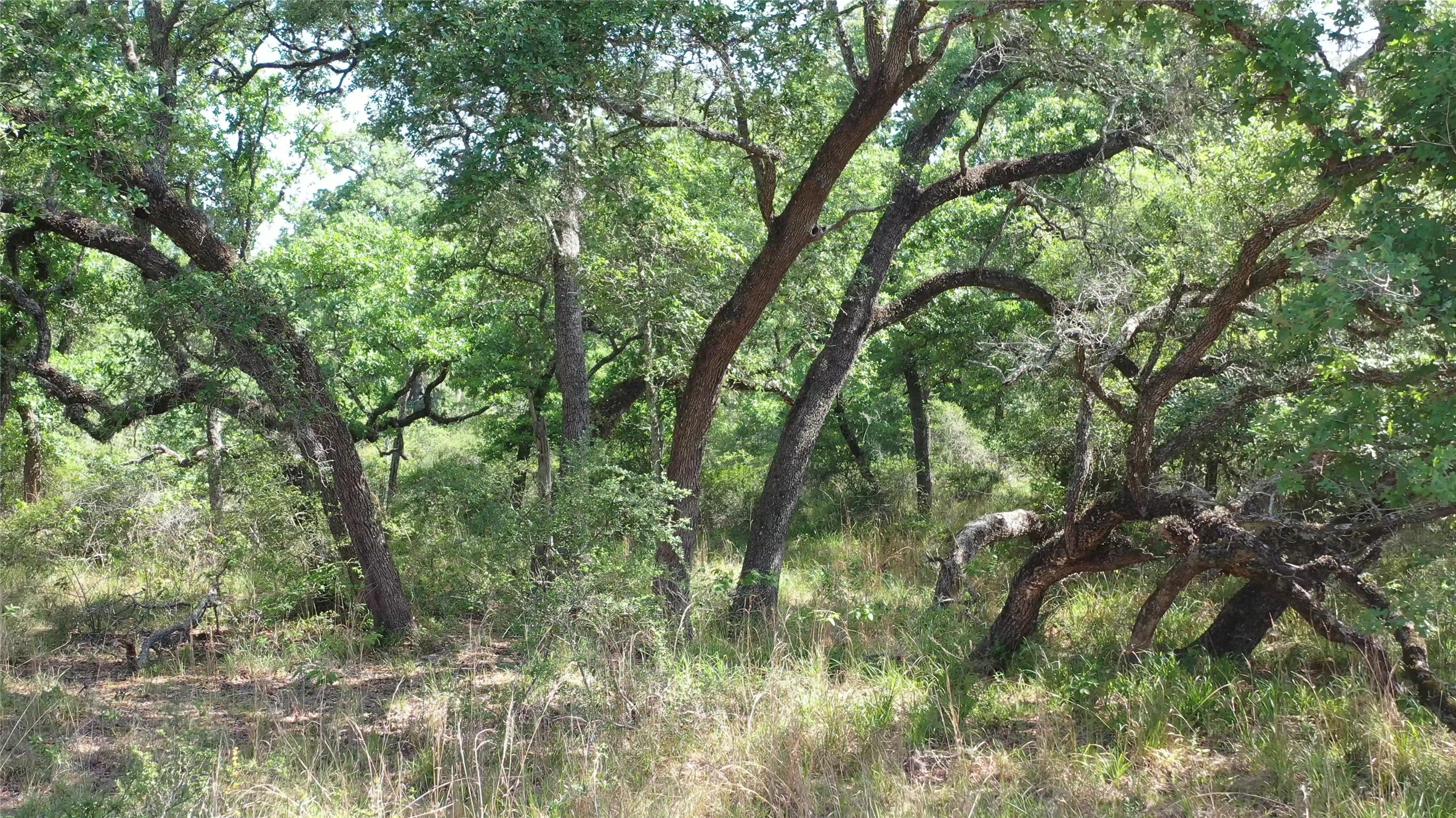 Tbd Private Road 1581 Property Photo 21