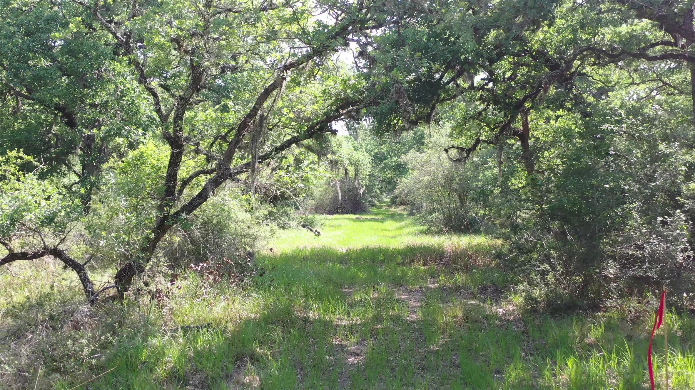 Tbd Private Road 1581 Property Photo 23