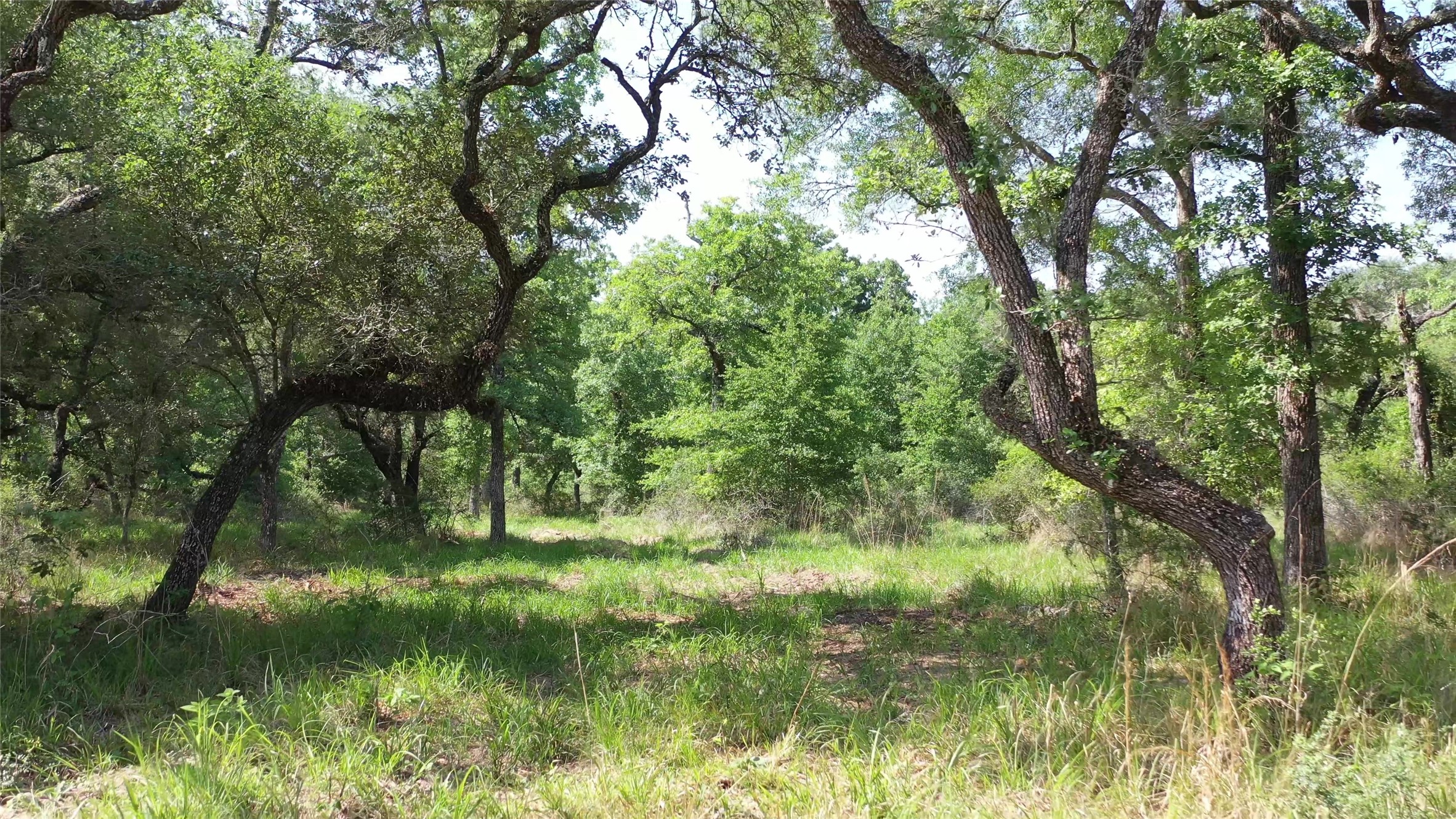 Tbd Private Road 1581 Property Photo 25