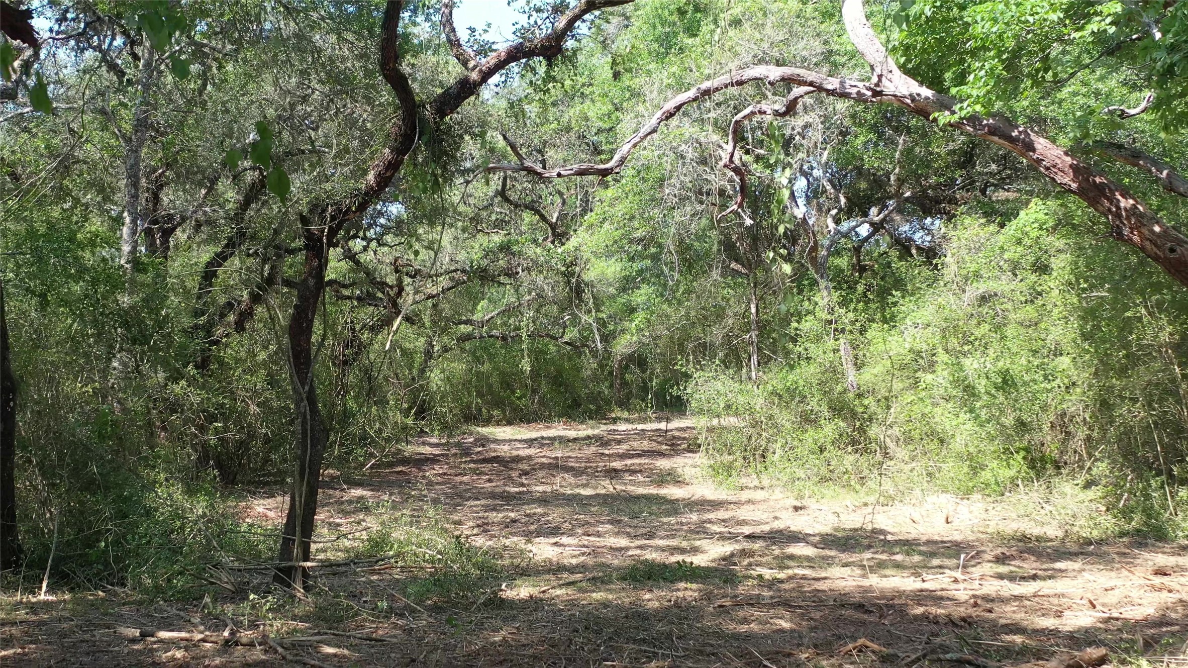 Tbd Private Road 1581 Property Photo 26