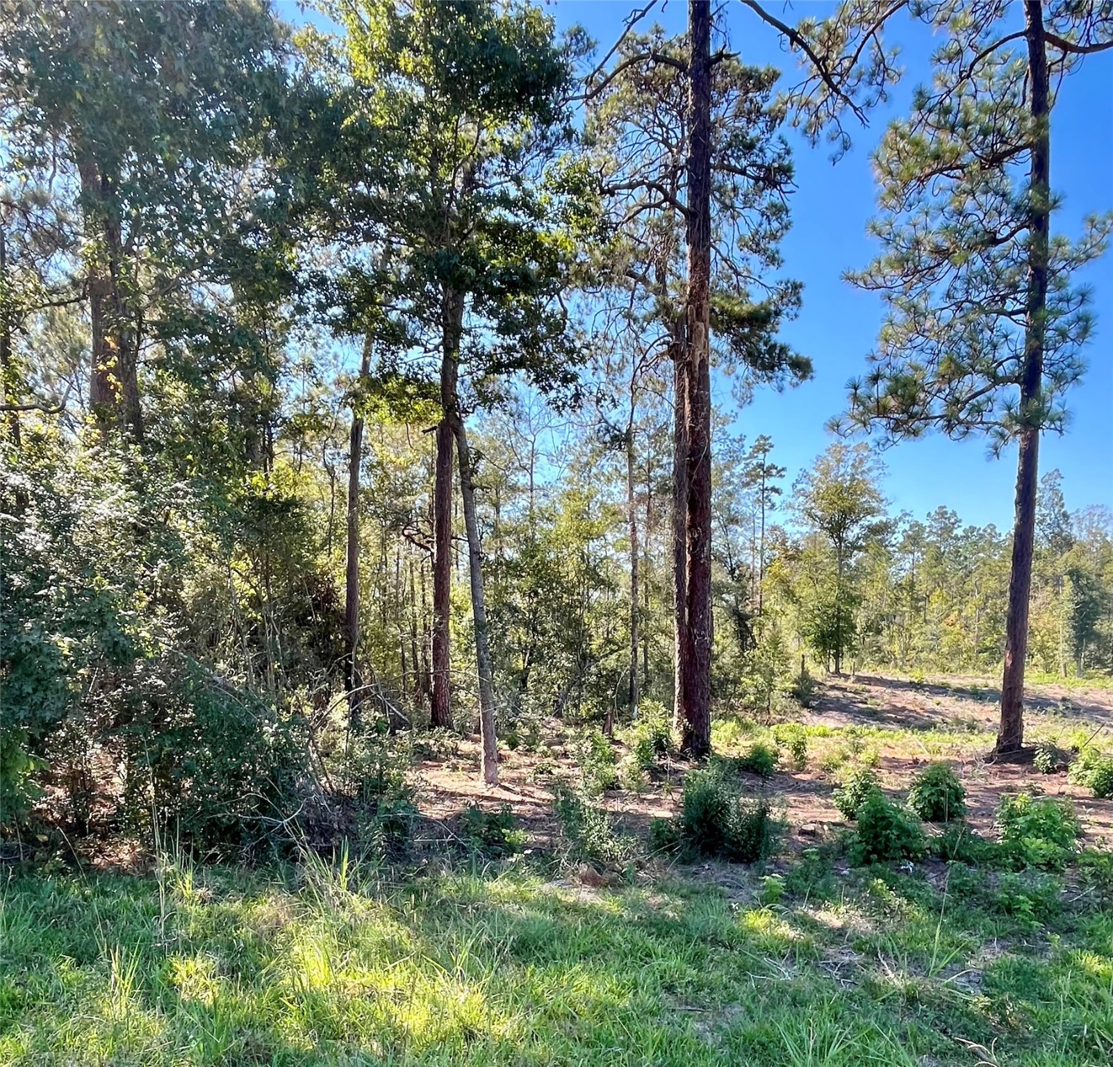 000 County Lane Property Photo 1