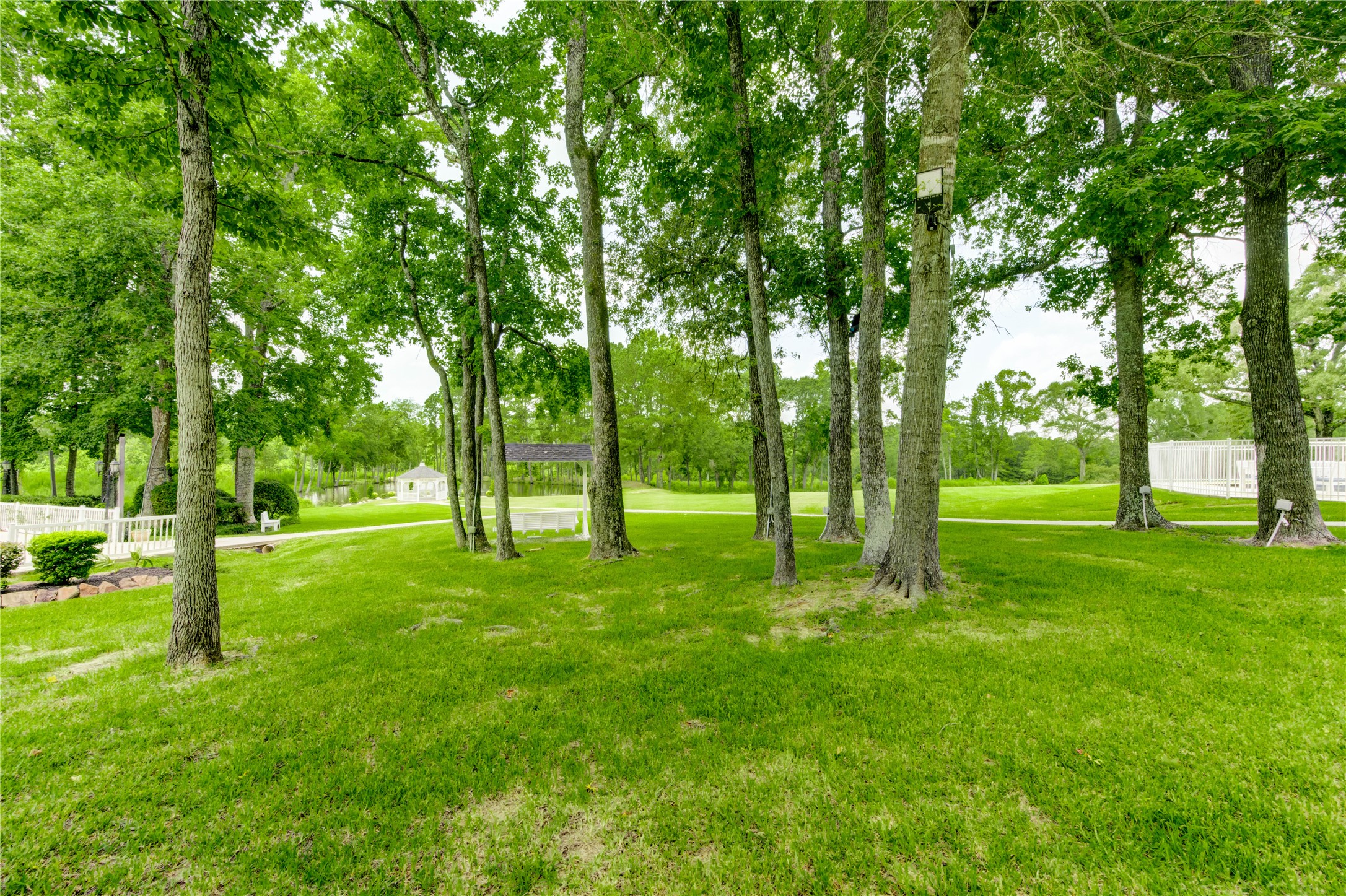 1961 Fm 1375 Road E Property Photo 19
