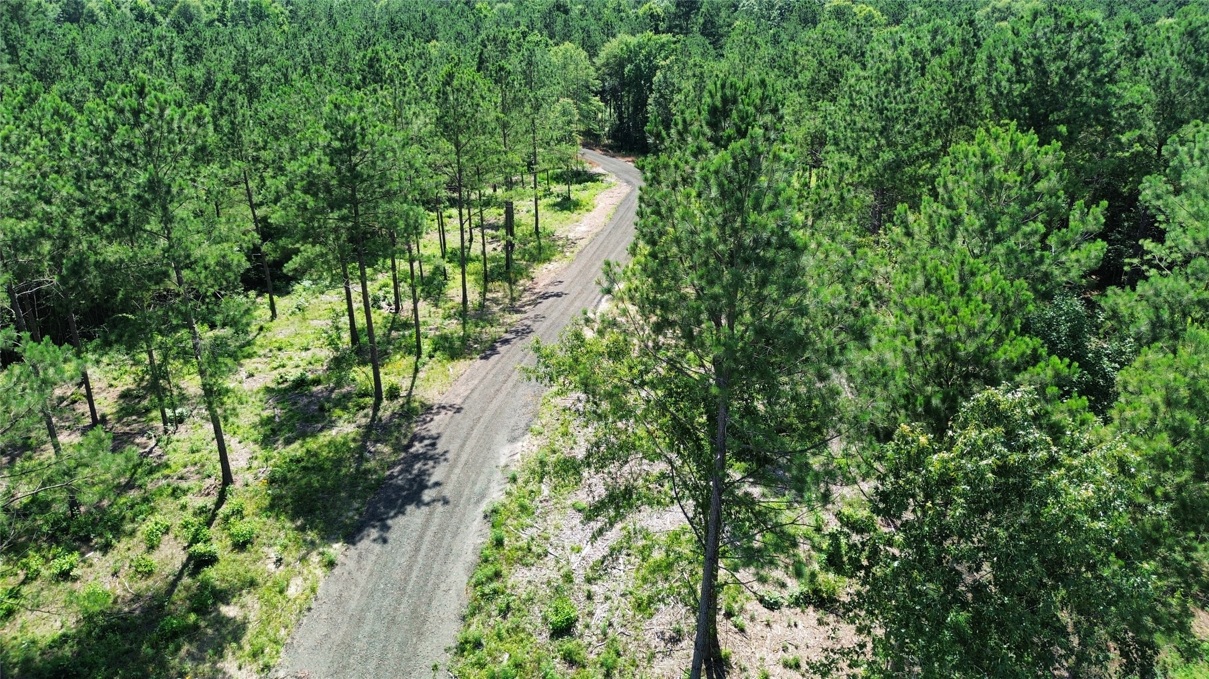 142 County Road 4872 Property Photo 2