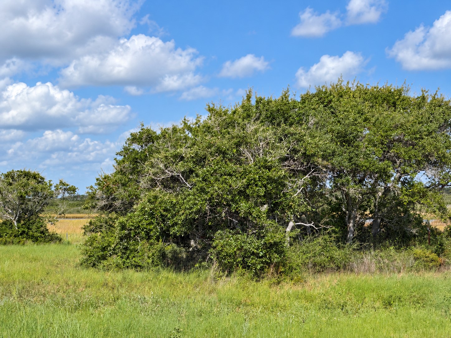 Lot 16 Easy Street Property Photo 13