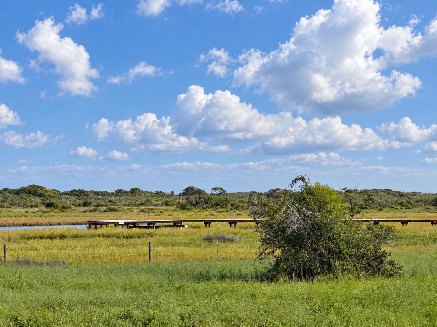 Lot 16 Easy Street Property Photo 15