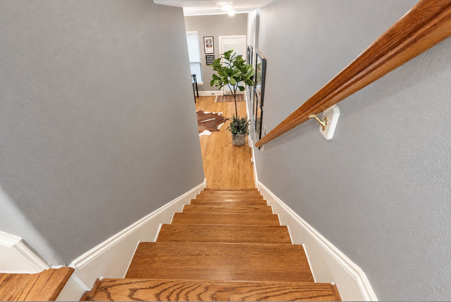 1316 Studer Street Property Photo 18