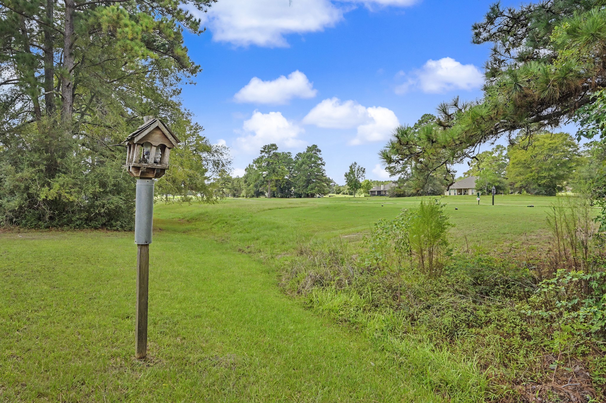 20 Shallow Springs Property Photo 33