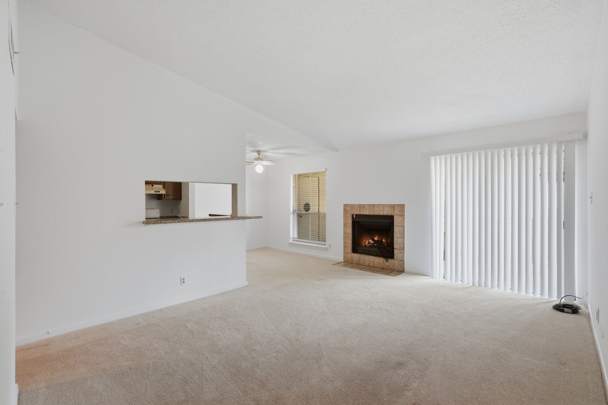 700 Thicket Lane 1006 Property Photo 8