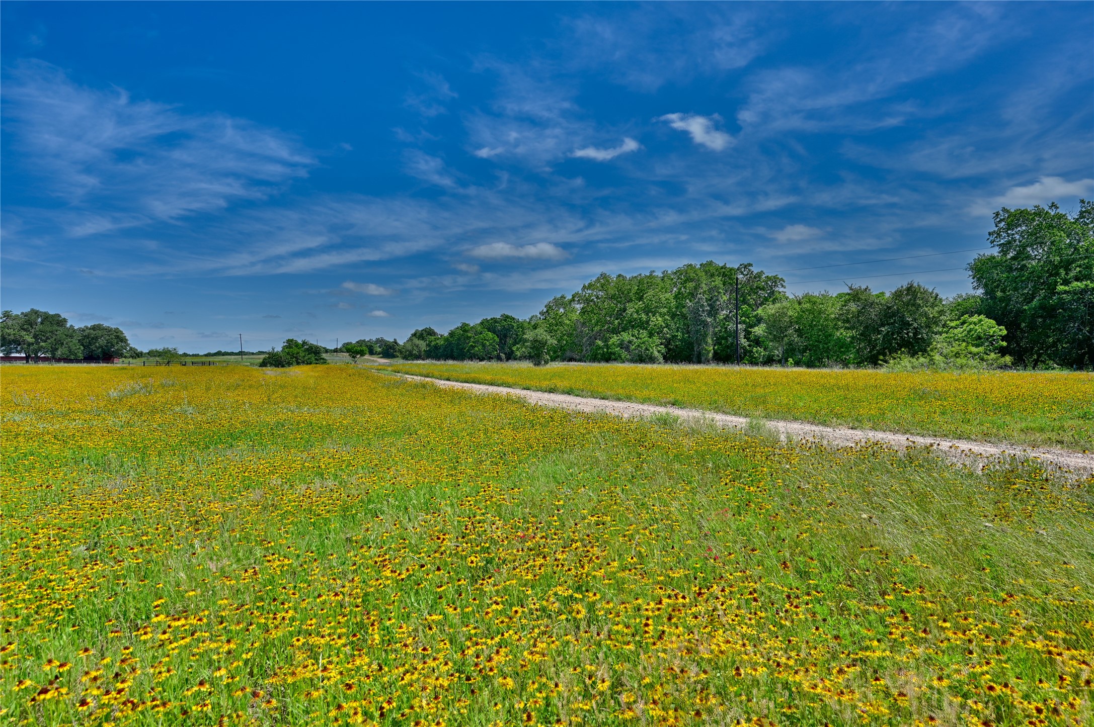 2165 County Road 250 Road Property Photo 5