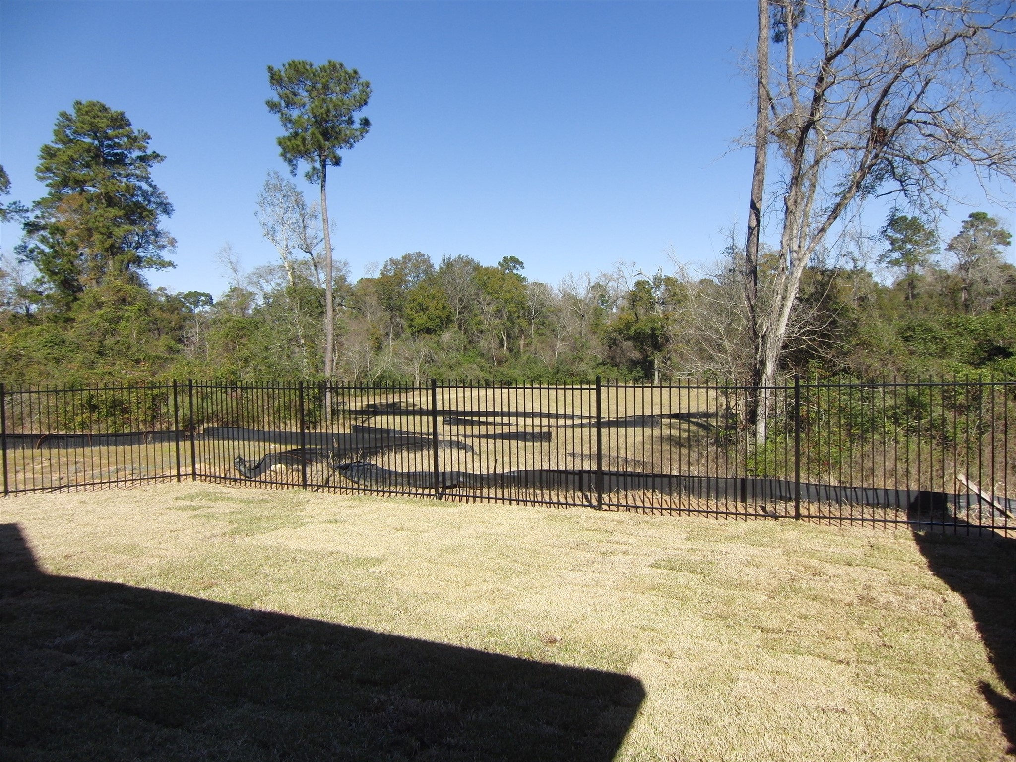5522 Mesquite Oaks Trail Property Photo 25