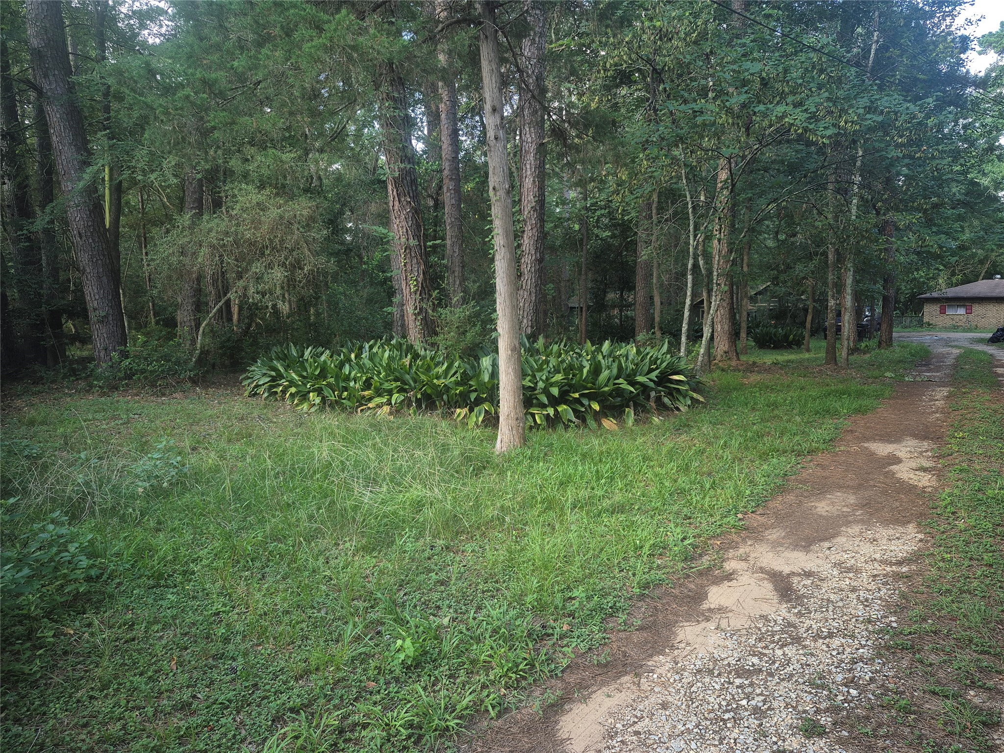 8312 Elm Drive Property Photo 10