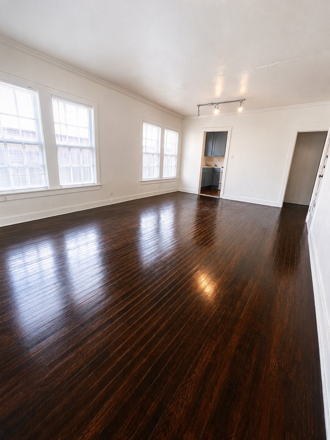 1905 Colquitt Street 1 Property Photo 1