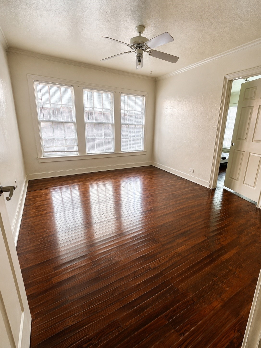 1905 Colquitt Street 1 Property Photo 4