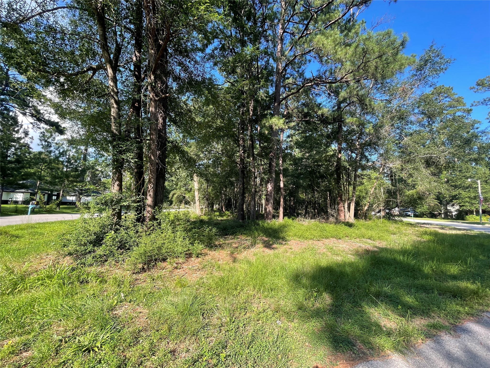 0 Athens Property Photo 7