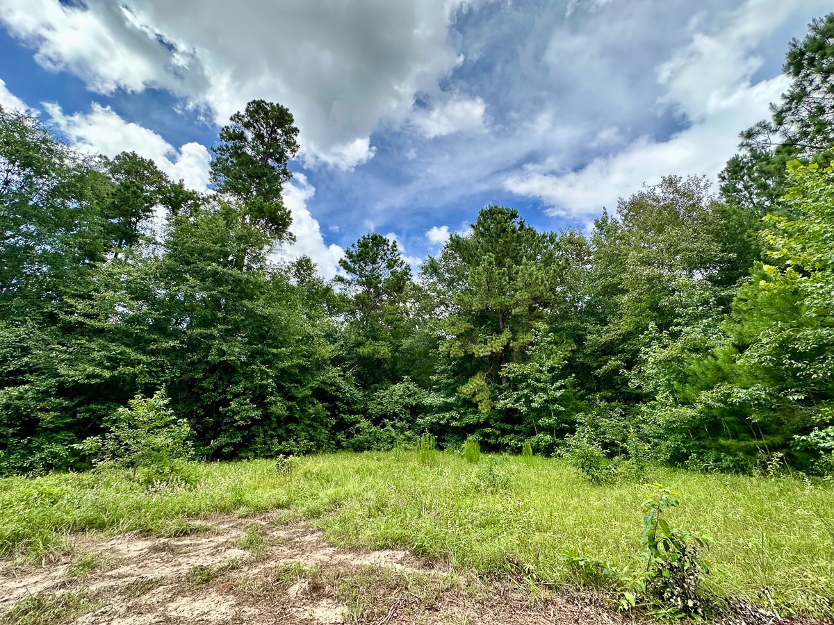 00 Cr 2065 Property Photo 6
