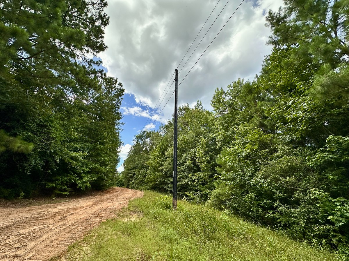 00 Cr 2065 Property Photo 10