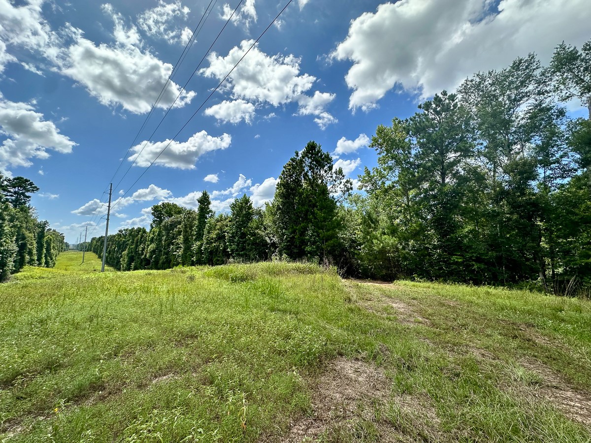 00 Cr 2065 Property Photo 12