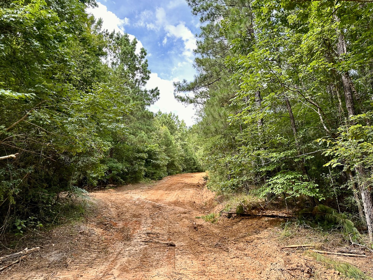 00 Cr 2065 Property Photo 15