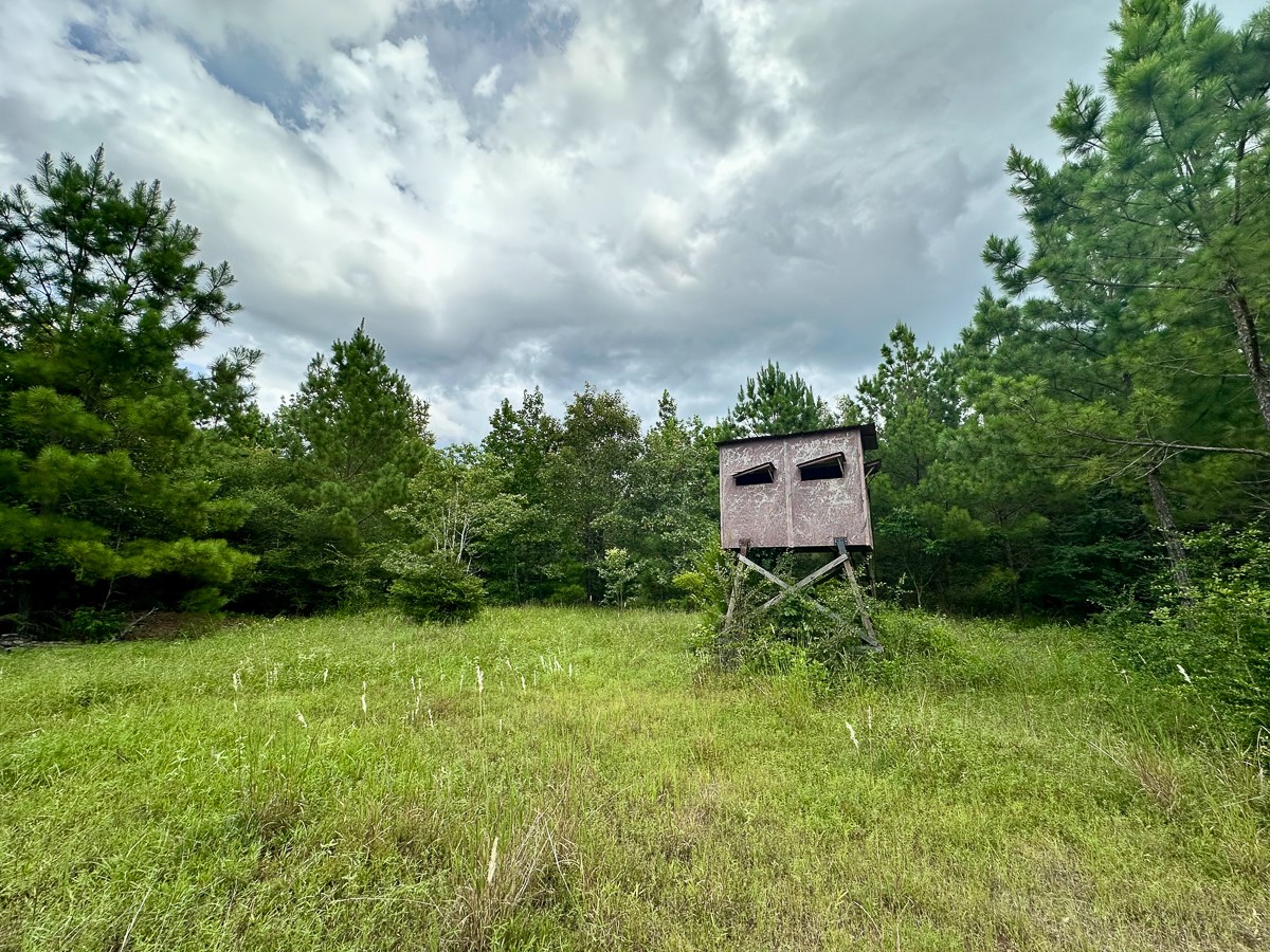 00 Cr 2065 Property Photo 17