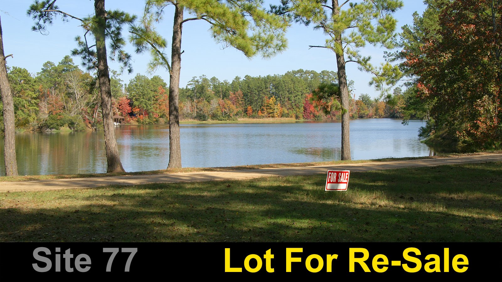 77 Raccoon Ramble Property Photo 1