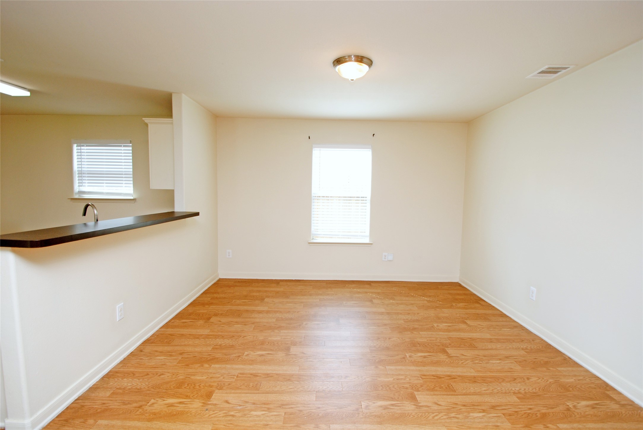 6923 Waterlilly View Lane Property Photo 5