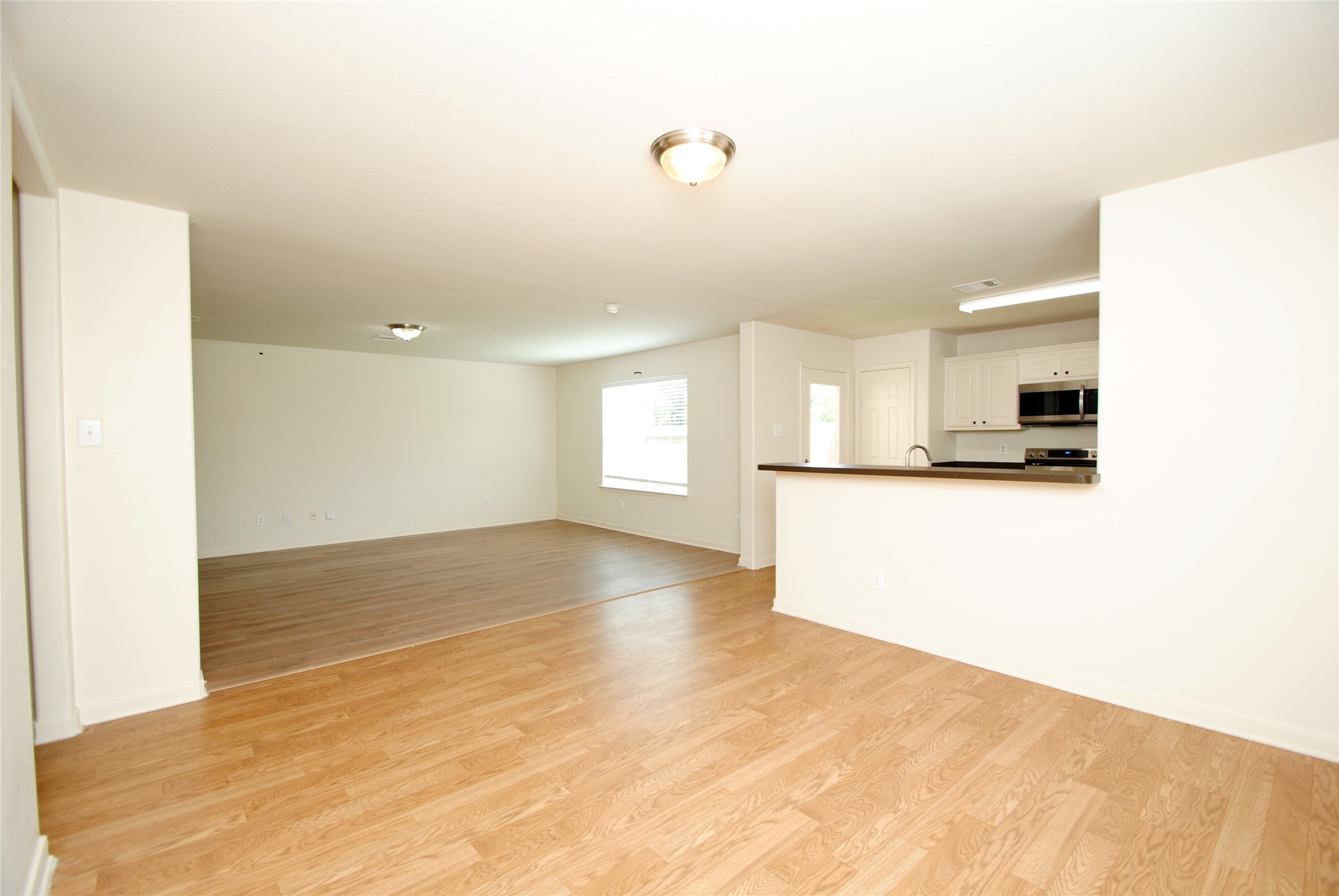 6923 Waterlilly View Lane Property Photo 6