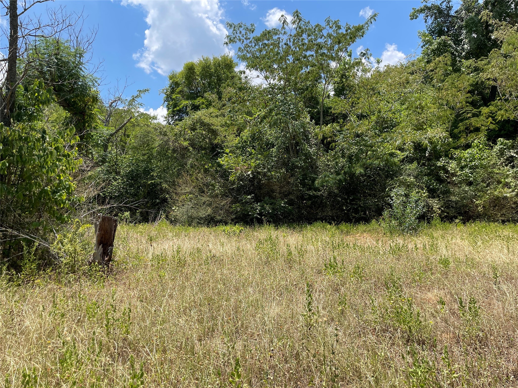 1501 W Reagan Street Property Photo 5