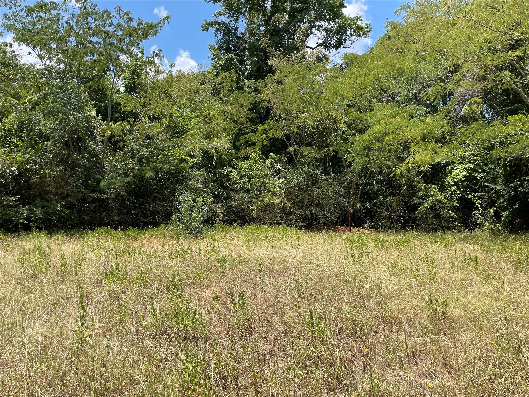 1501 W Reagan Street Property Photo 6