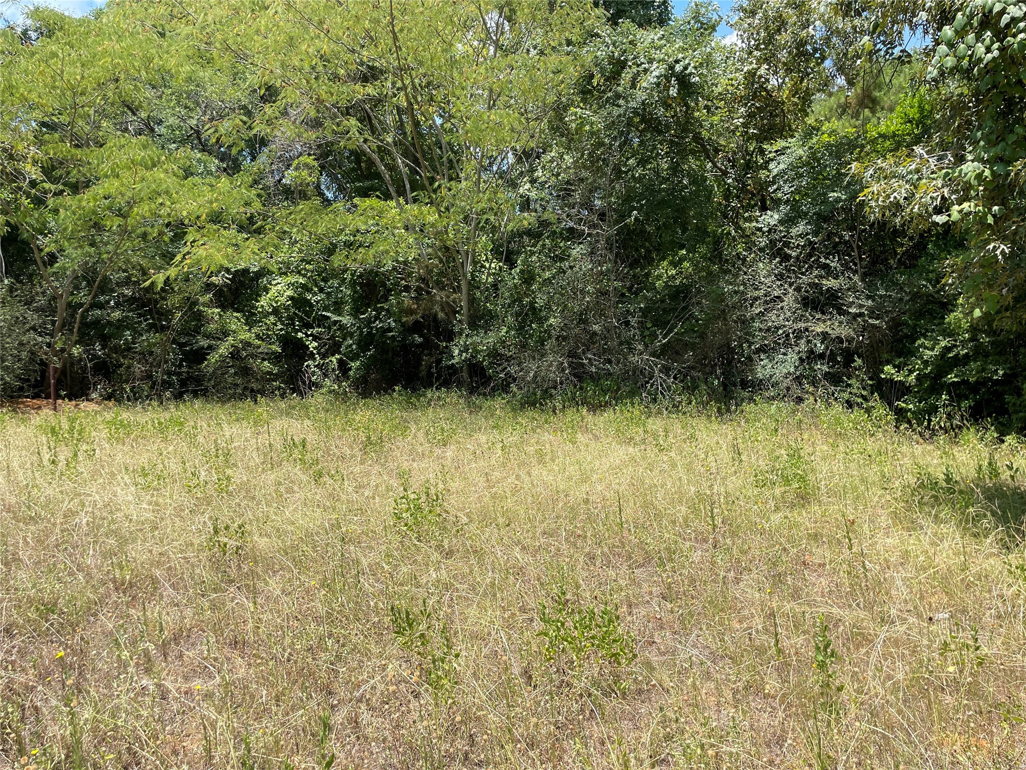 1501 W Reagan Street Property Photo 7