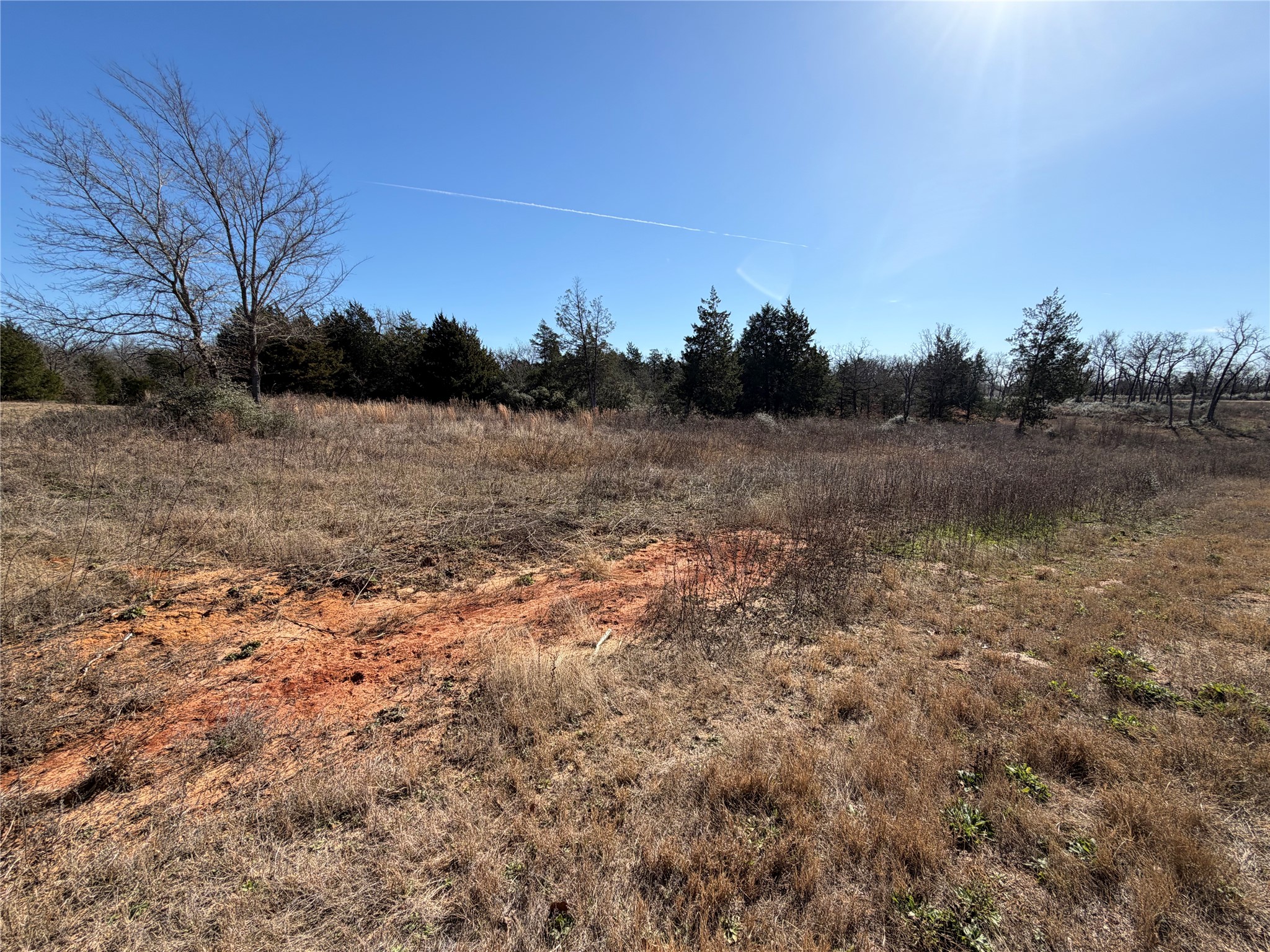 Lot 20 Cr 389 Property Photo 3