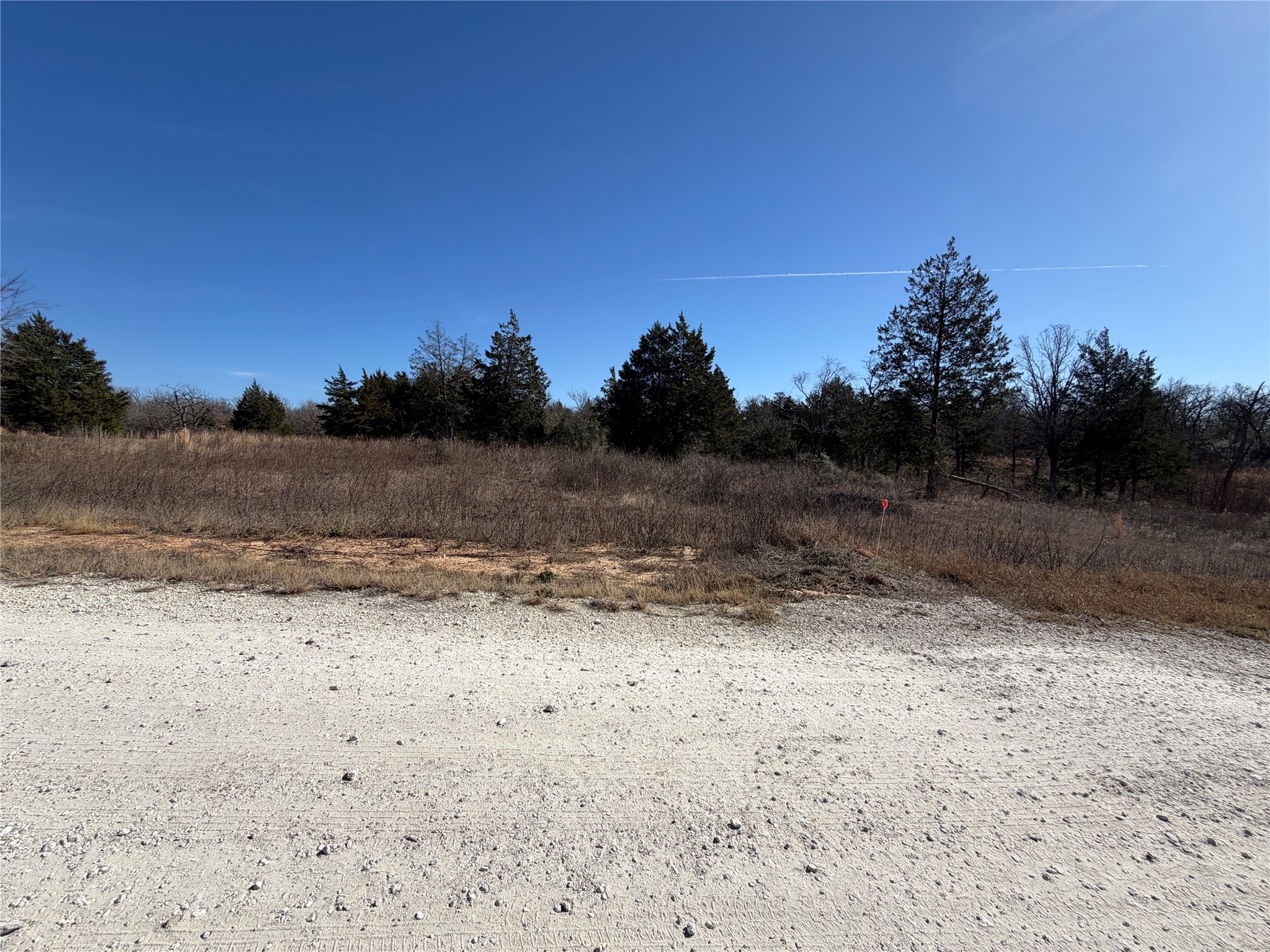 Lot 20 Cr 389 Property Photo 4