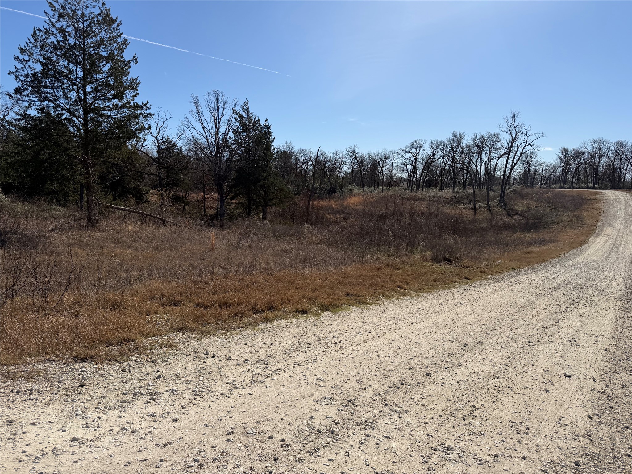 Lot 20 Cr 389 Property Photo 5