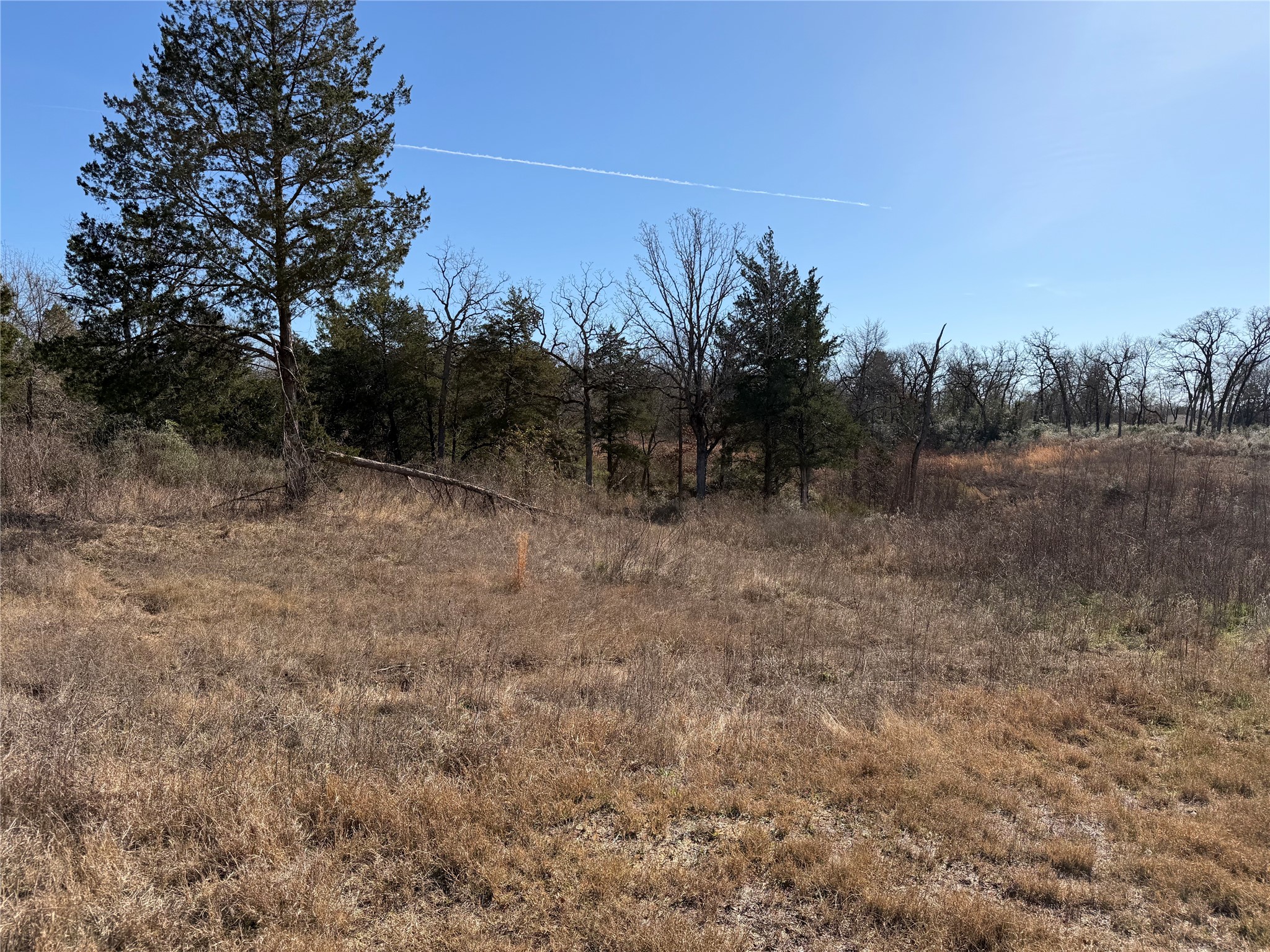 Lot 20 Cr 389 Property Photo 6