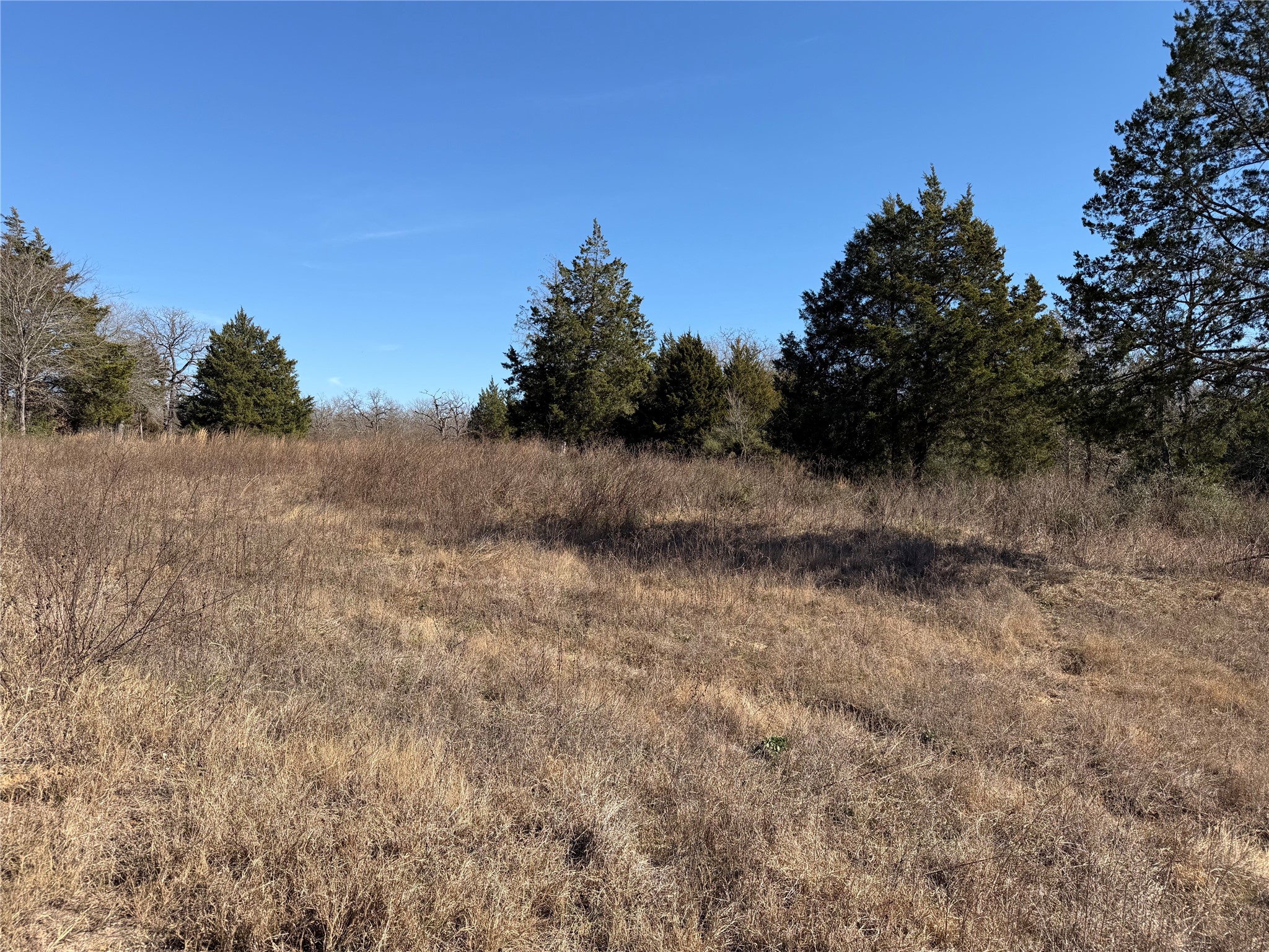 Lot 20 Cr 389 Property Photo 7