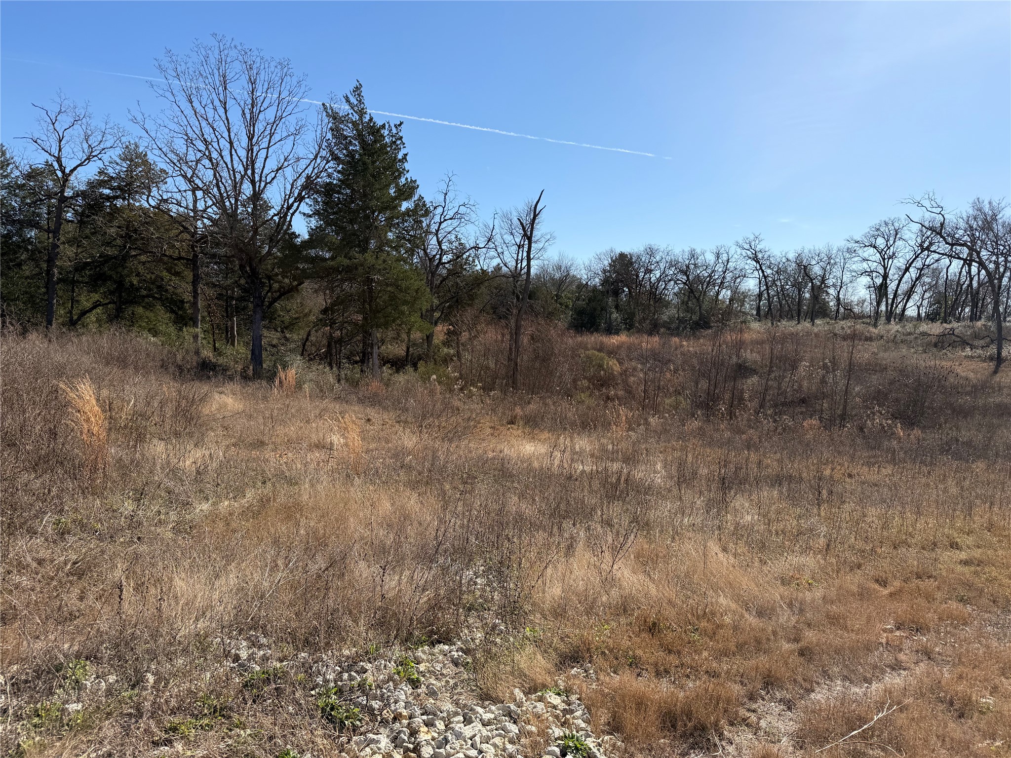 Lot 20 Cr 389 Property Photo 8