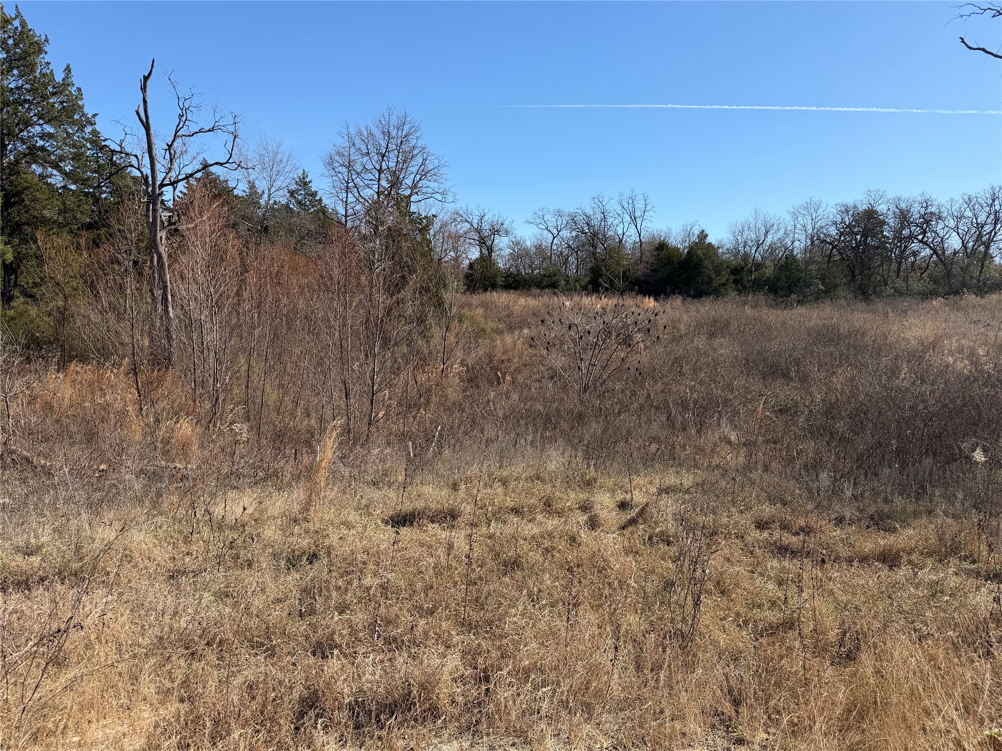 Lot 20 Cr 389 Property Photo 9