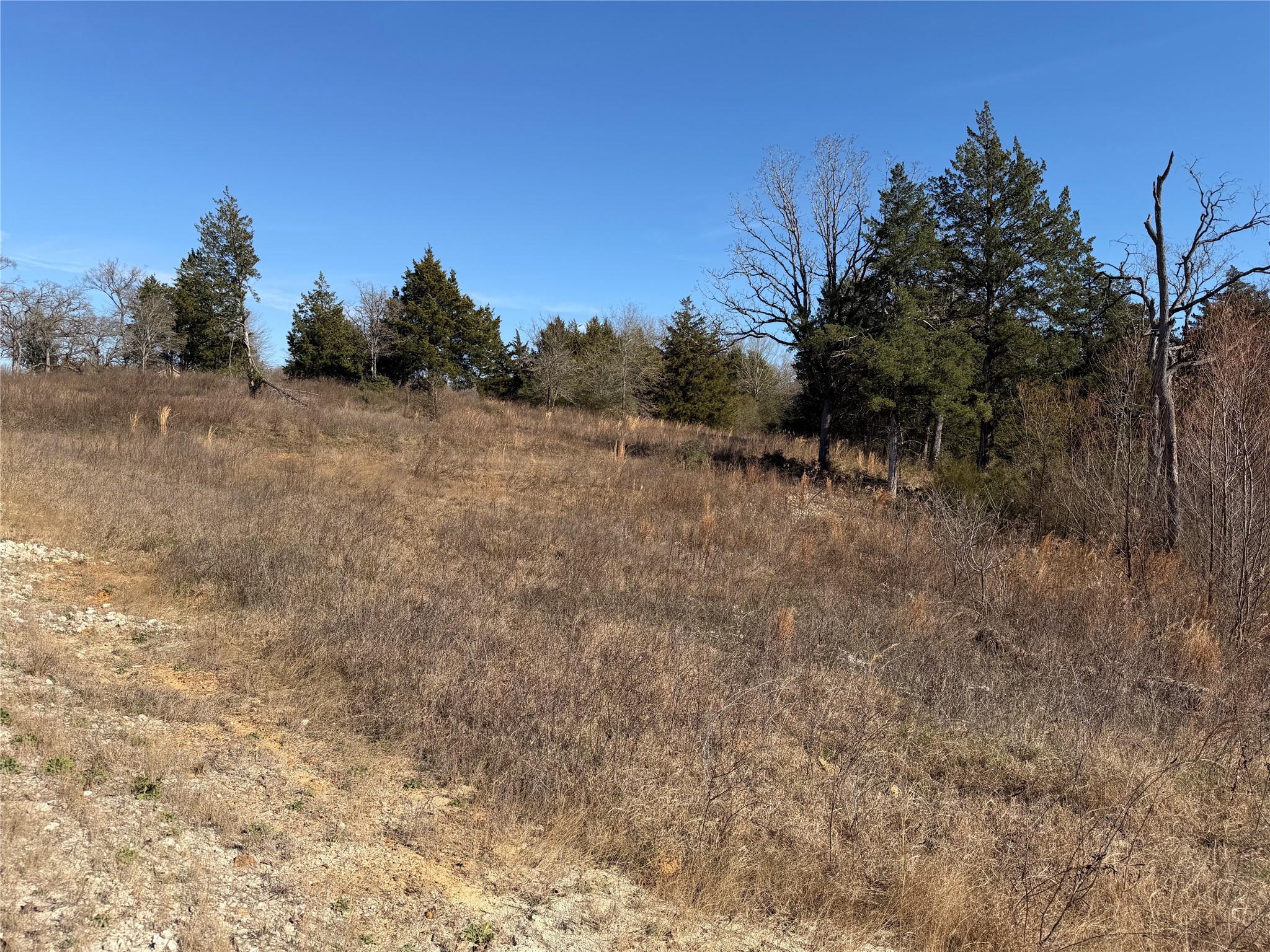 Lot 20 Cr 389 Property Photo 11