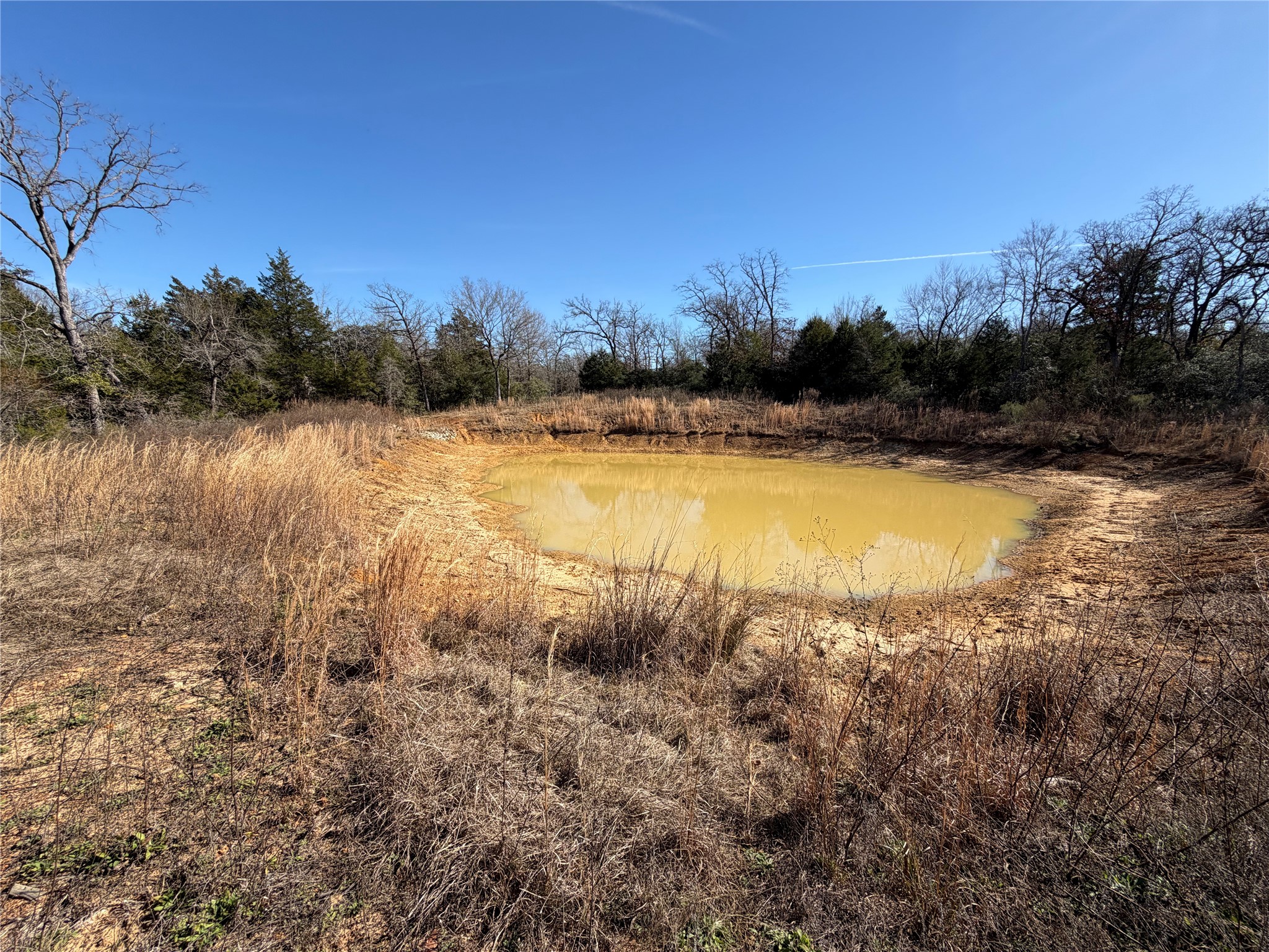 Lot 20 Cr 389 Property Photo 12